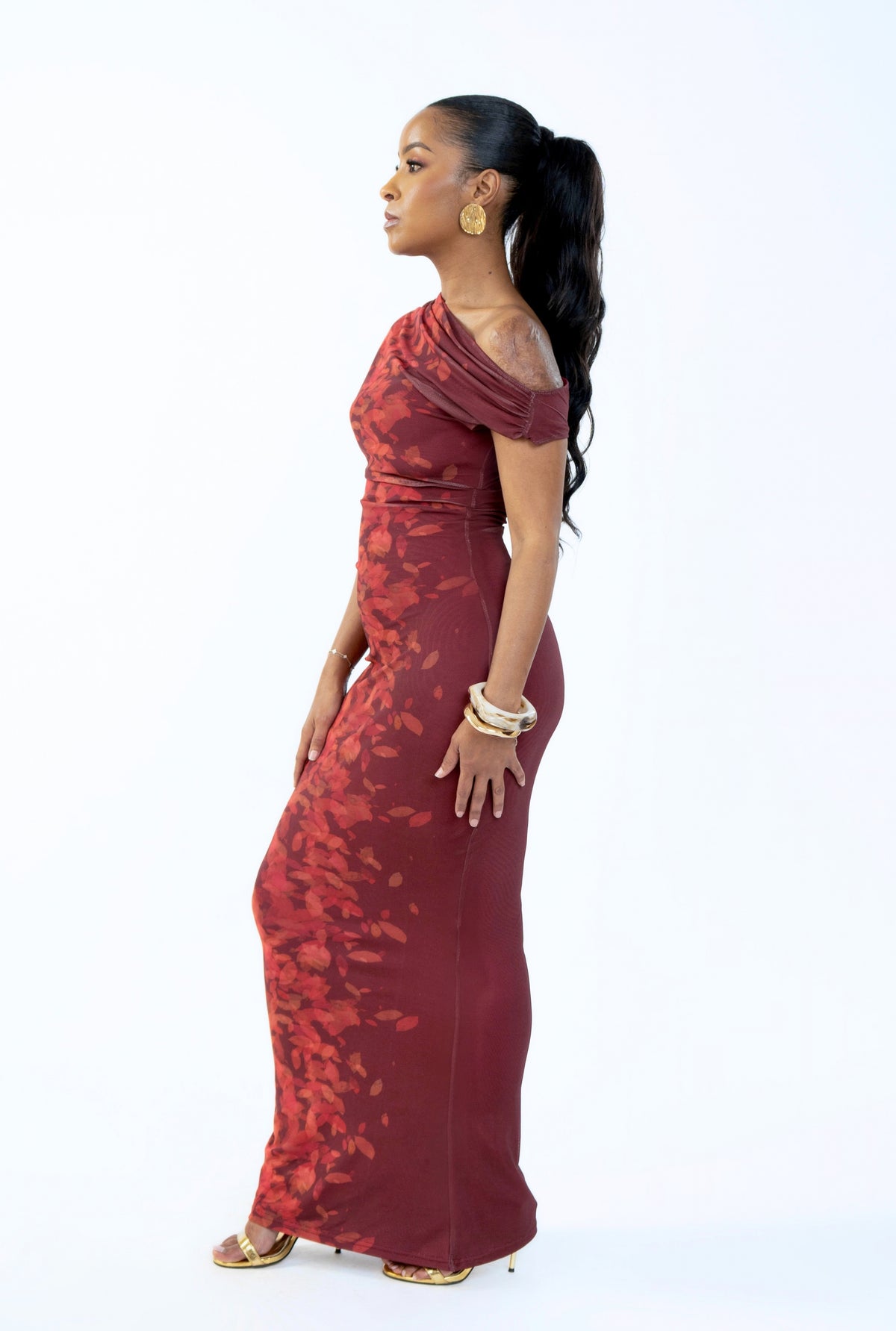 Aymar Mesh Dress - Burnt Maroon
